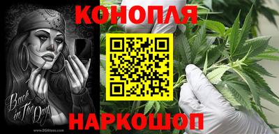 шишки Анапа